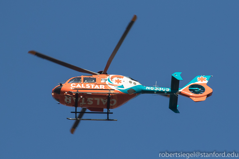 al gore climate rally